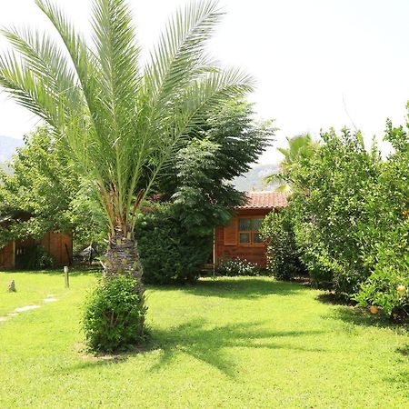Tunays Pansiyon Bed and Breakfast Çıralı Exterior foto