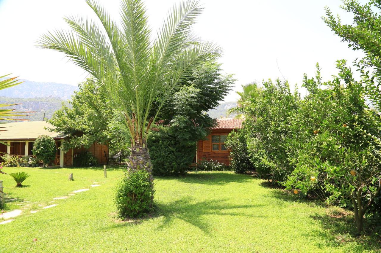 Tunays Pansiyon Bed and Breakfast Çıralı Exterior foto