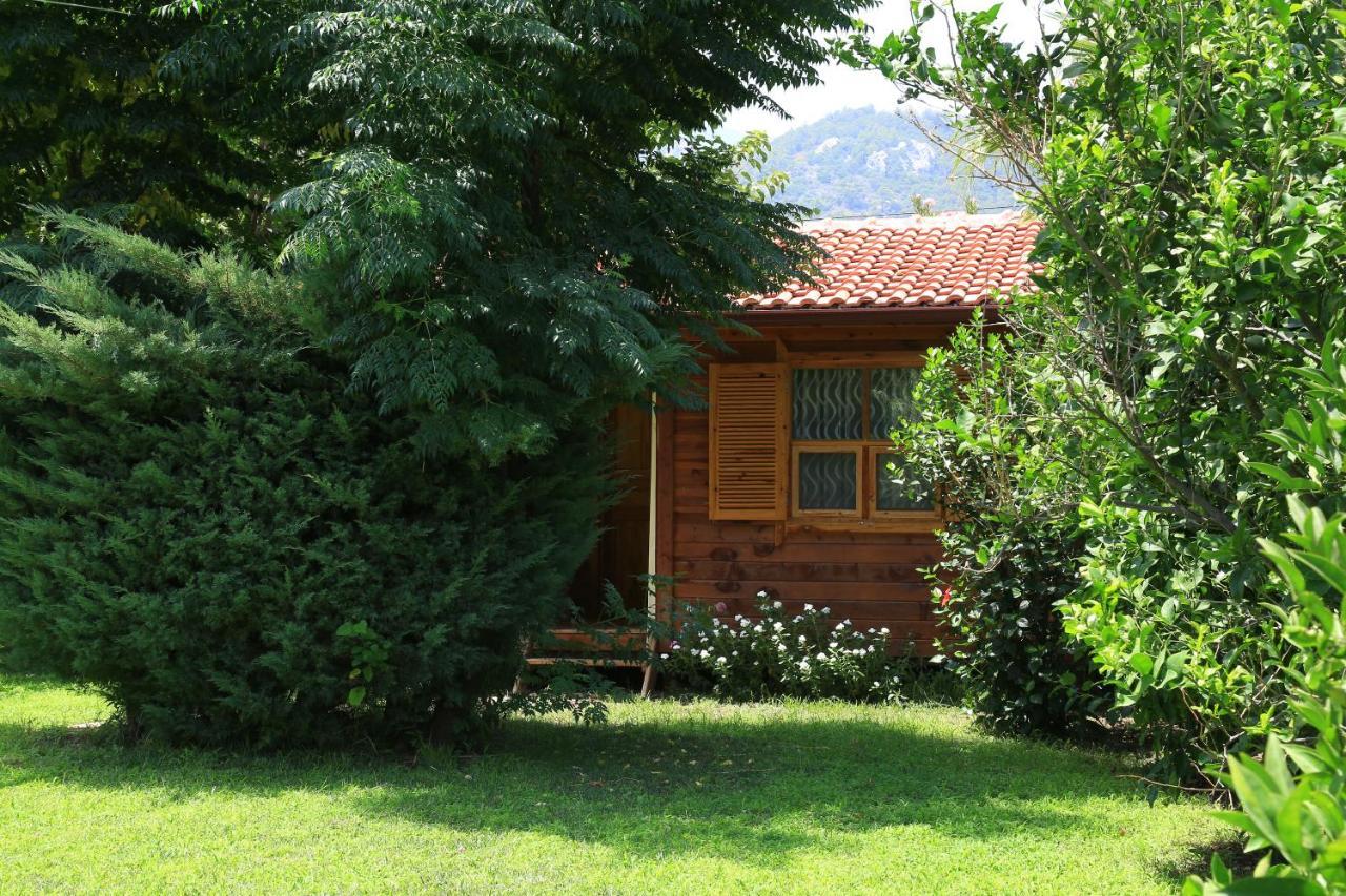 Tunays Pansiyon Bed and Breakfast Çıralı Habitación foto