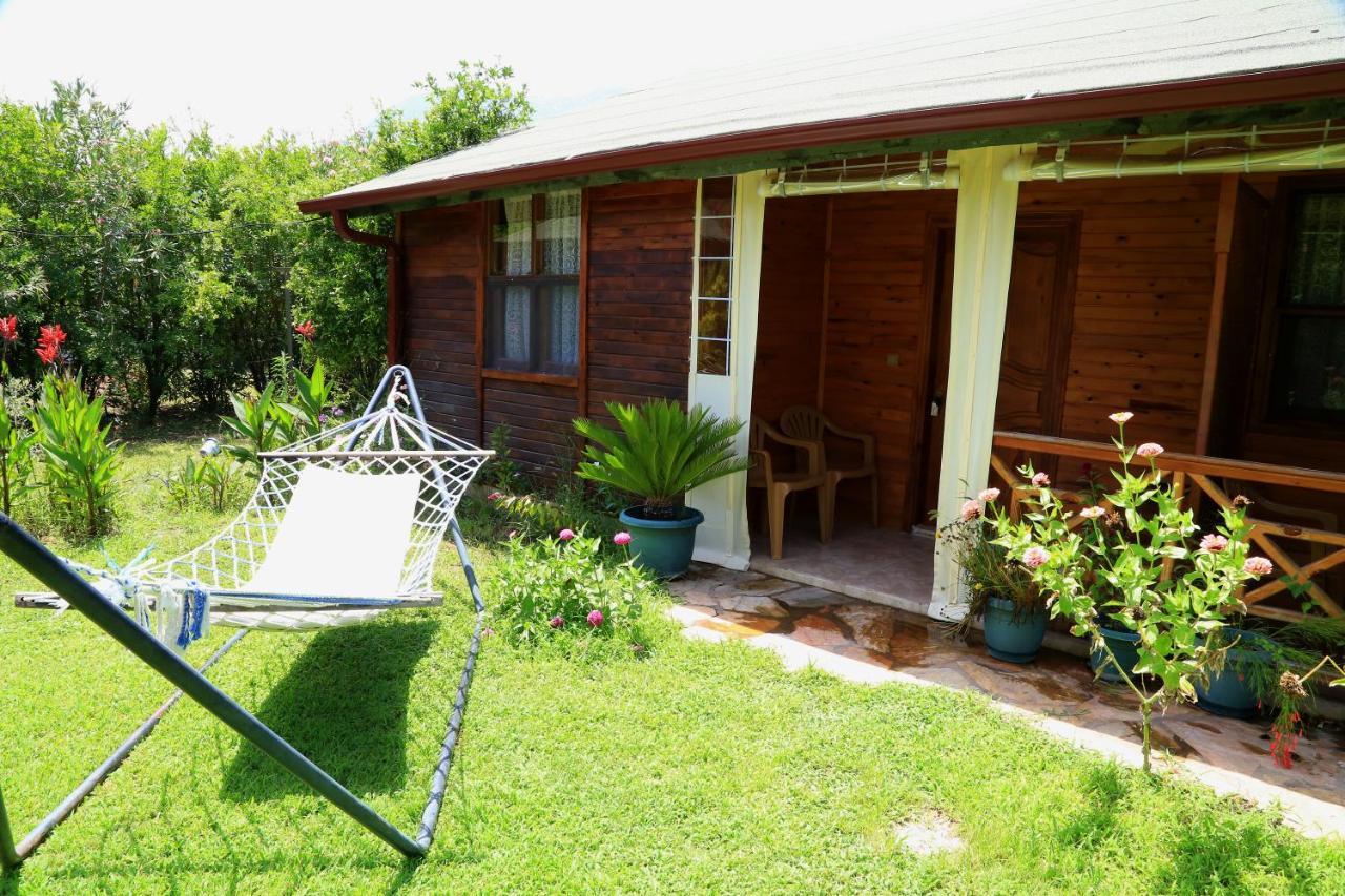 Tunays Pansiyon Bed and Breakfast Çıralı Habitación foto